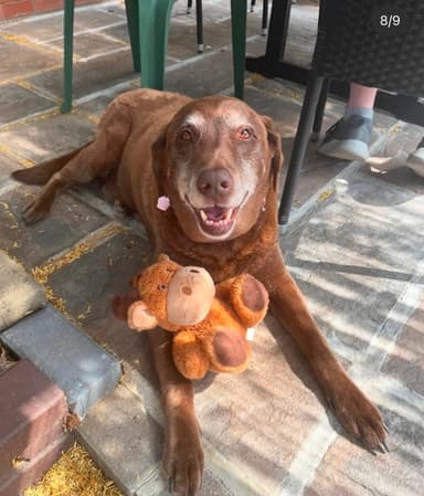 max
